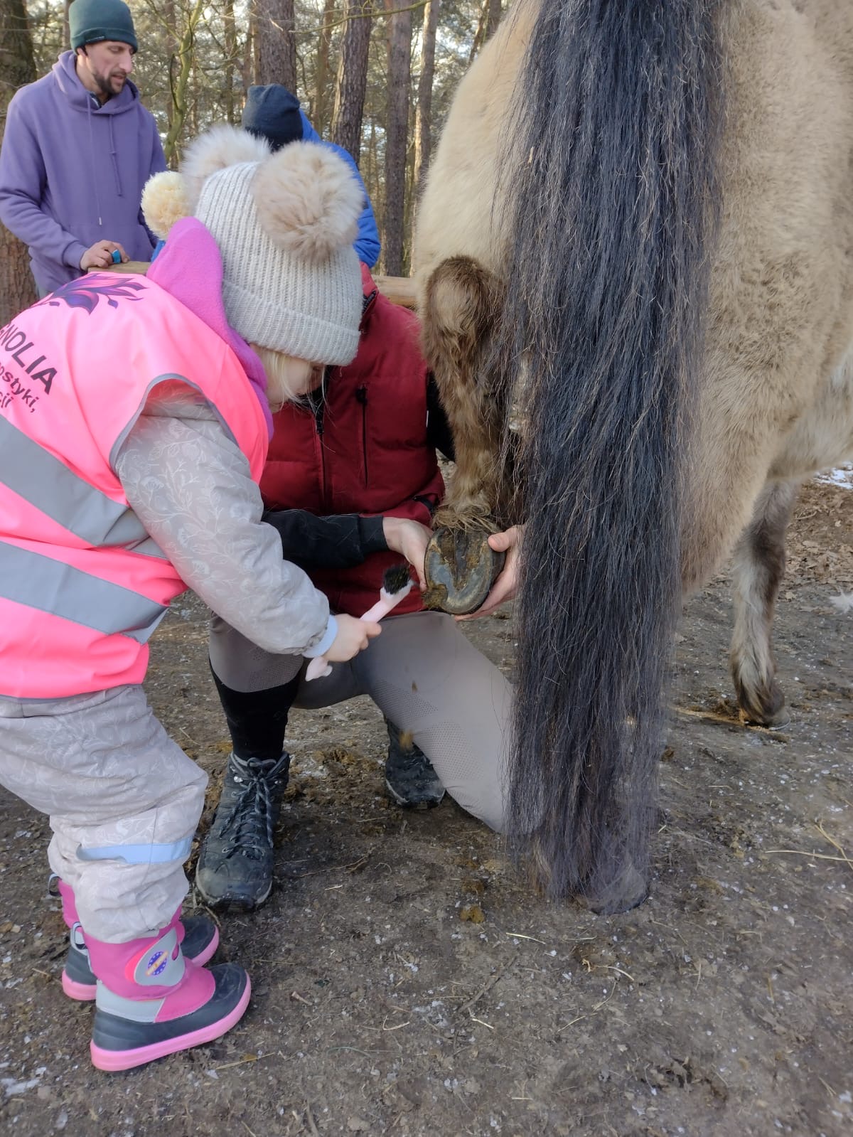 Hipoterapia w MAGNOLII